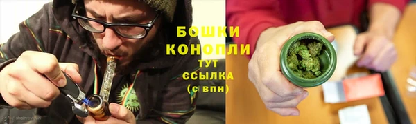 ПСИЛОЦИБИНОВЫЕ ГРИБЫ Тында