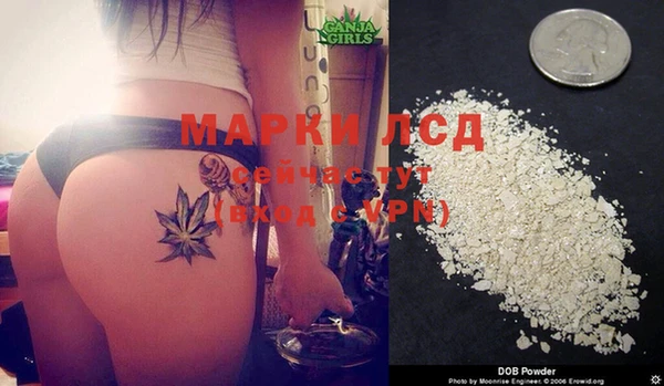 MESCALINE Волоколамск