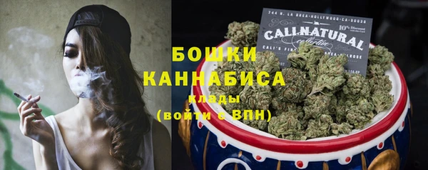 2c-b Туринск