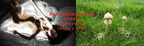эйфоретик Волосово