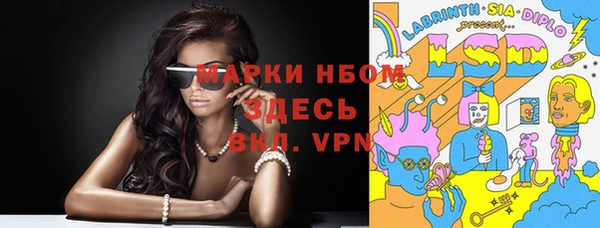 ПСИЛОЦИБИНОВЫЕ ГРИБЫ Тында