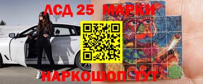 гидропоника Шебекино