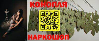 гидропоника Шебекино