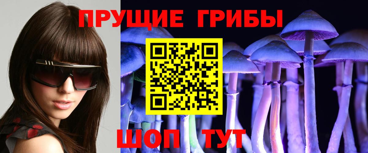 Псилоцибиновые грибы ЛСД  Вход с VPN  Ярцево 